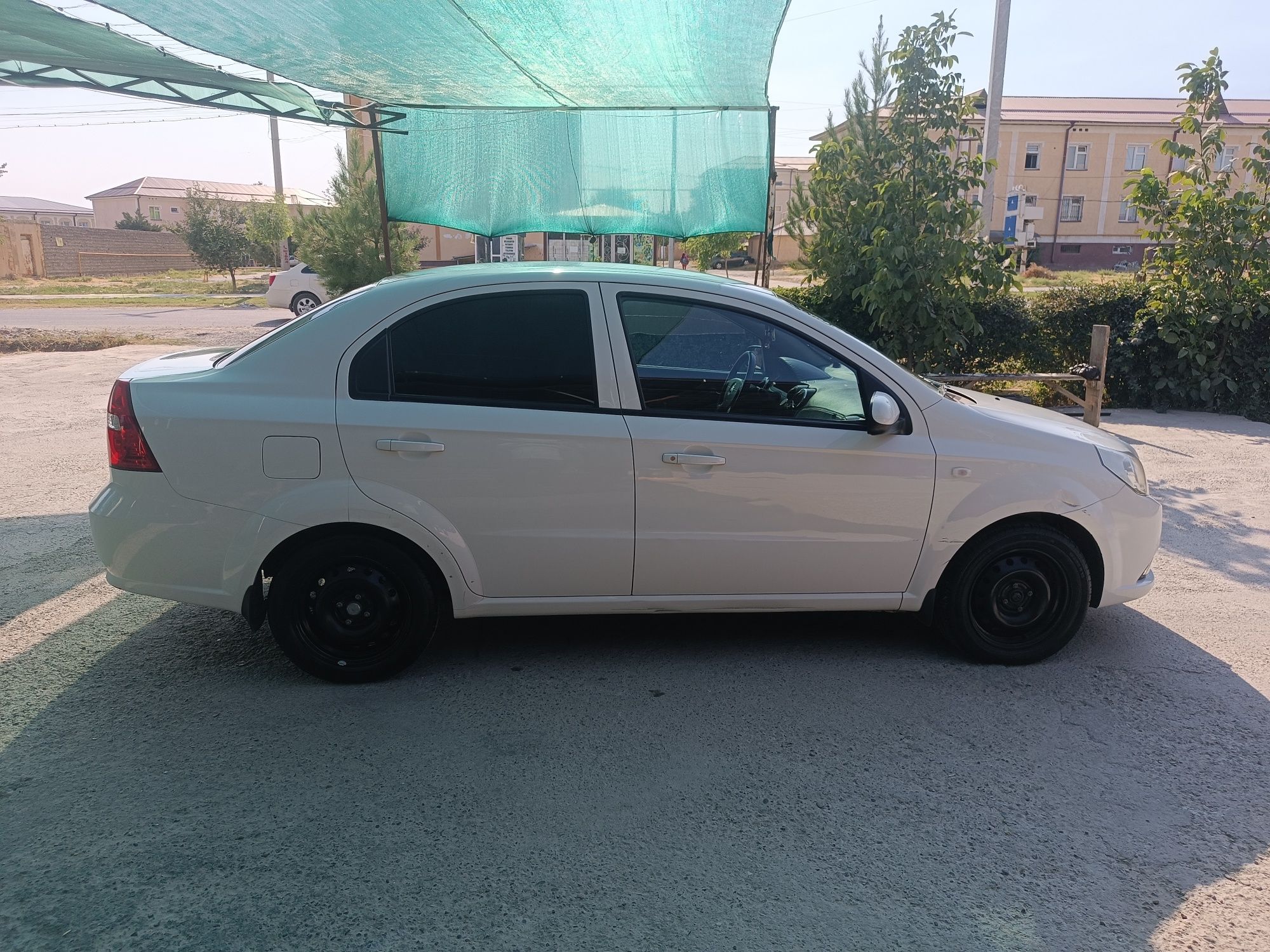 nexia R3 yili 2019