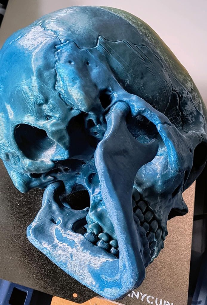 3D принтиран анатомичен череп – детайлен и стилен декор