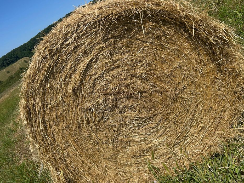 Vând Baloti fan 2025