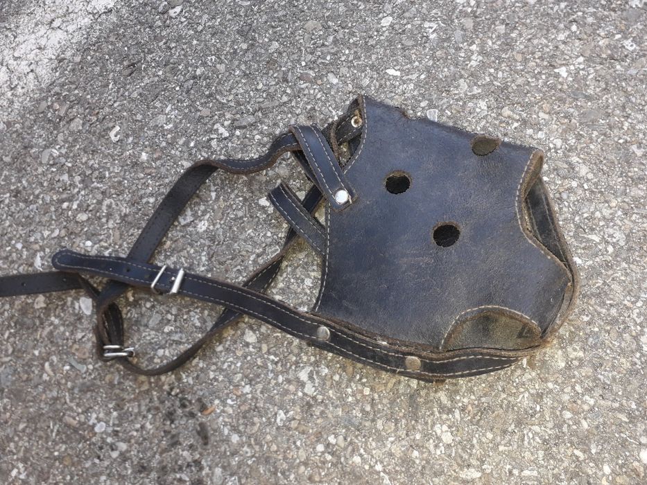 Botnita de piele pt caine