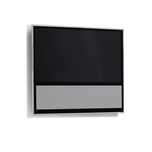 телевизор Bang & Olufsen BeoVision 11-55 акустика