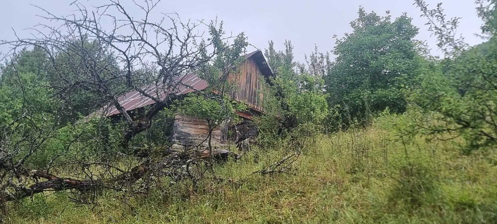 VAND CASA SI SURA CU GRADINA 44000mp com Blajeni, Sat Grosuri, Jud. HD