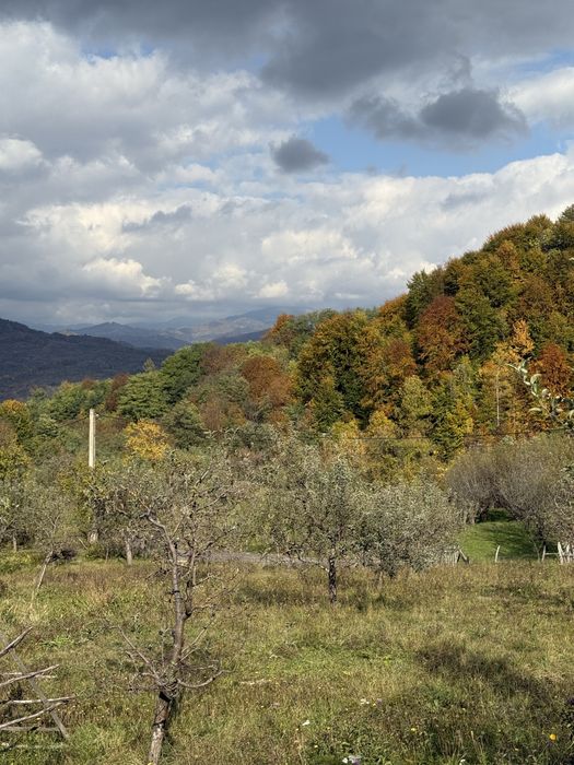 Teren intravilan Comuna Valeni-Dambovita 3557 m2