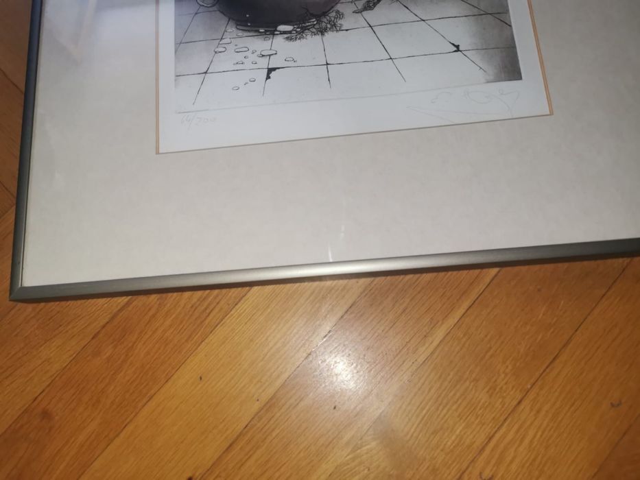 Антикварни картини цветни литографии авторски лимитирани в рамка  2 бр