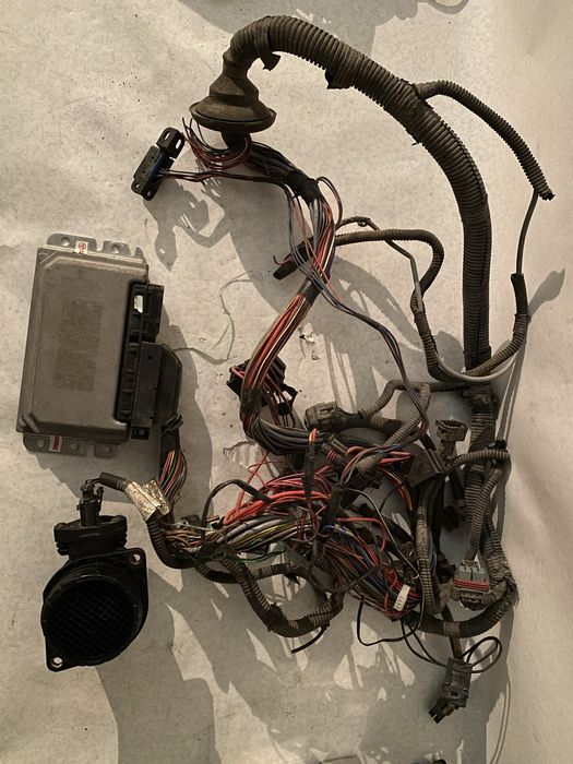 праводка январь 7.2