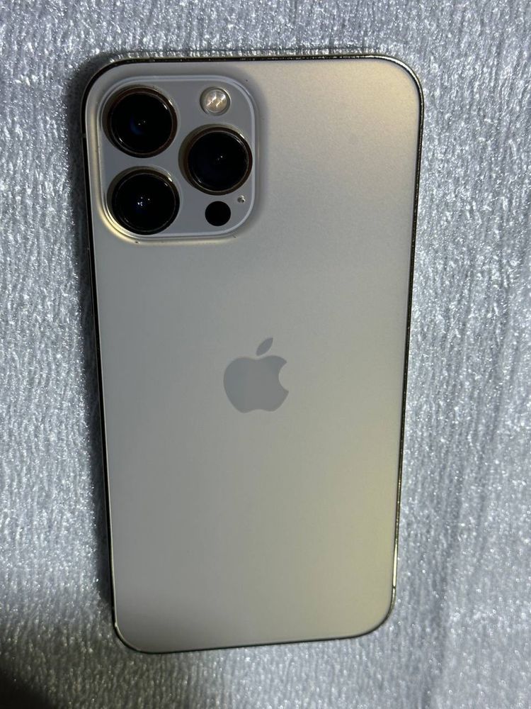 iPhone 13 Pro Max