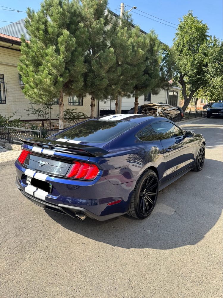 Ford Mustang GT500 Shelby srochna