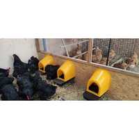 Гнездо за кокошки, полог за гнездене, с колектор + Безплатна доставка