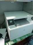 Hp rangli printir
