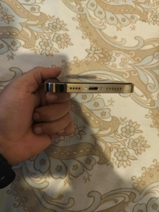 Iphone 13Pro Max.