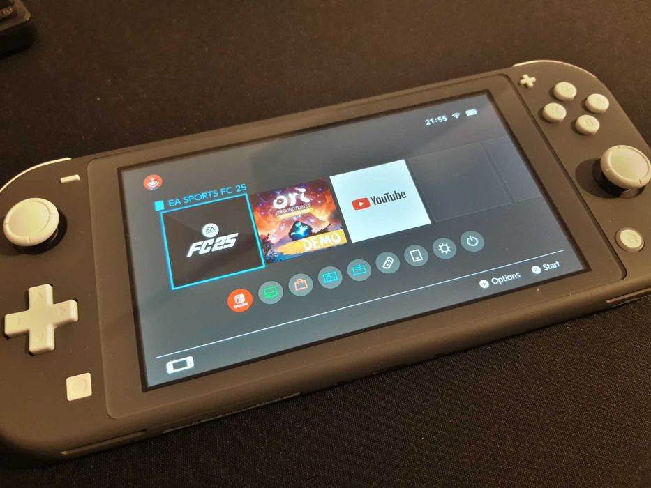 Nintendo switch lite