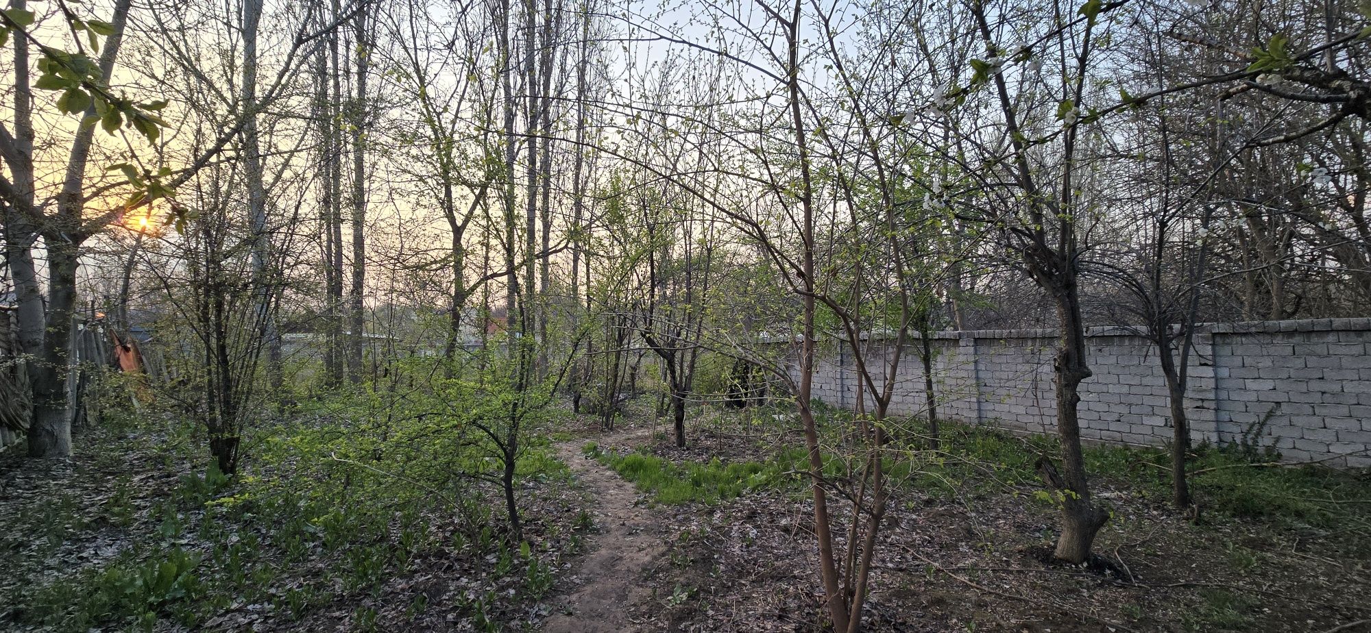 Продам дачу (без маклер)