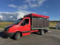 Volkswagen crafter transport animale vii