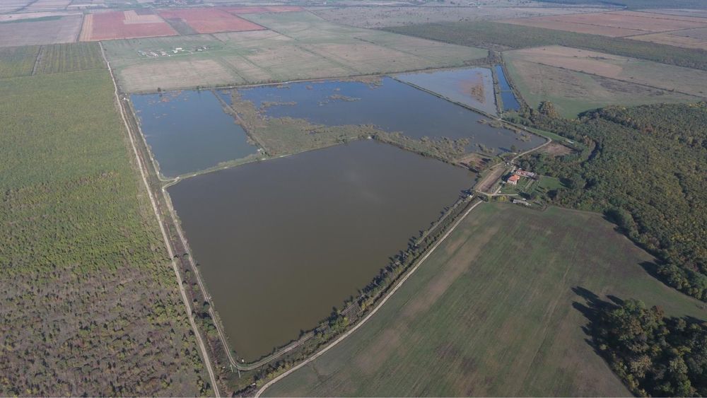 Ferma Piscicola judetul Arad oras Cermei