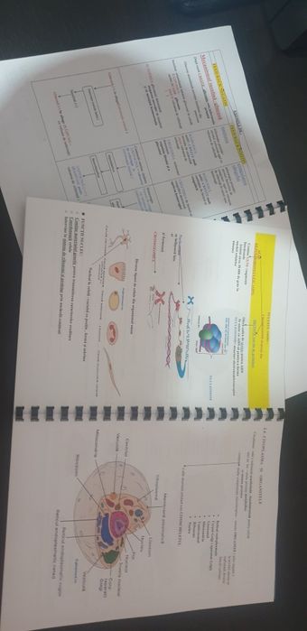 Meditații   la biologie