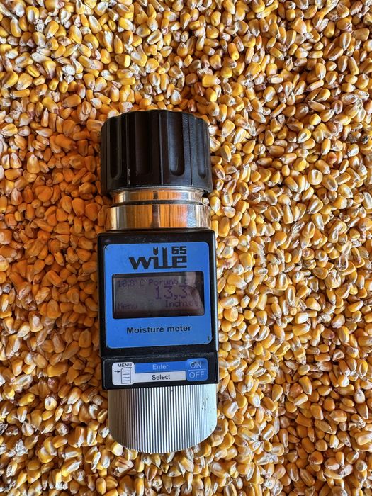 Vând porumb 2025 (Grâu, orz, orzoaica)