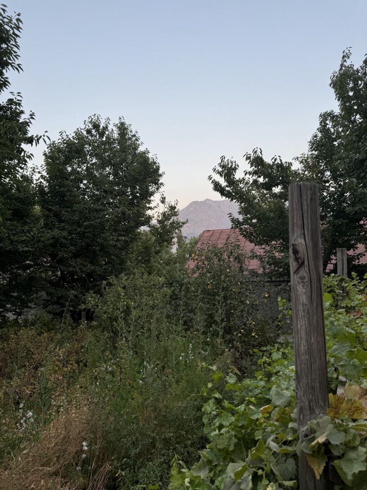 Dacha sotiladi sijjakda