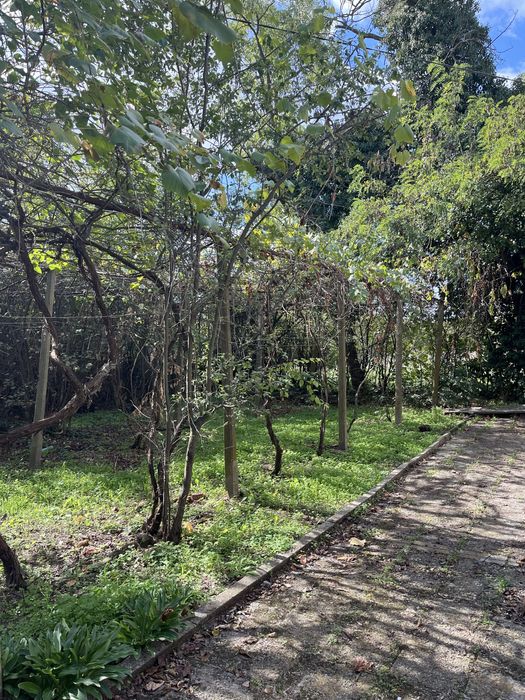 Продава се Къща в с. Трънково, Област Стара Загора - 100 кв.м за 128 €/кв.м - Снимка #4