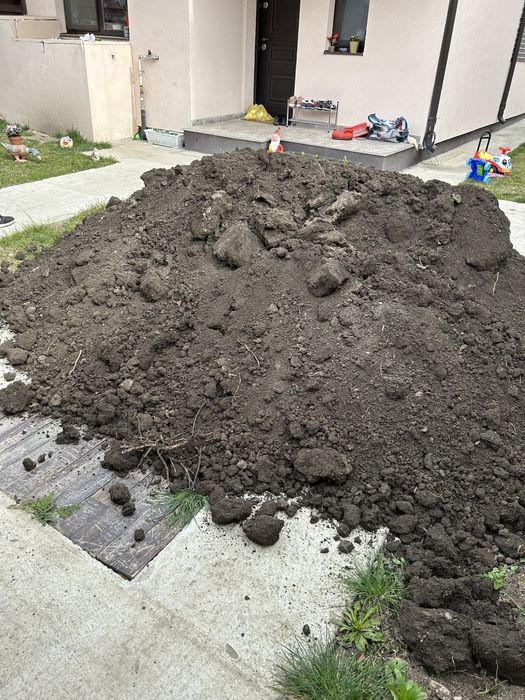 Pamant vegetal de flori(Domnesti,teghes,olteni,ciorogarla)