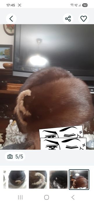 Caciula nurca LUX noua