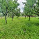 Vand teren intravilan Chiojdu, Buzau, 1000 mp