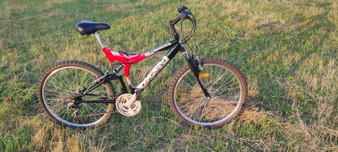 Bicicleta copii și adulți