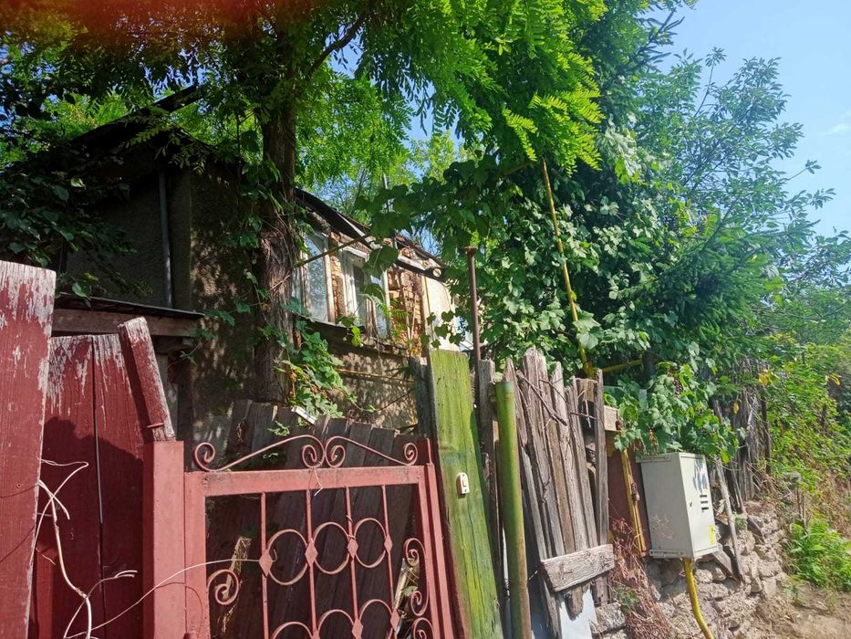 Casa Centru-Palas-Bucsinescu