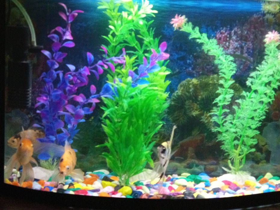 Аквариум 40 литров