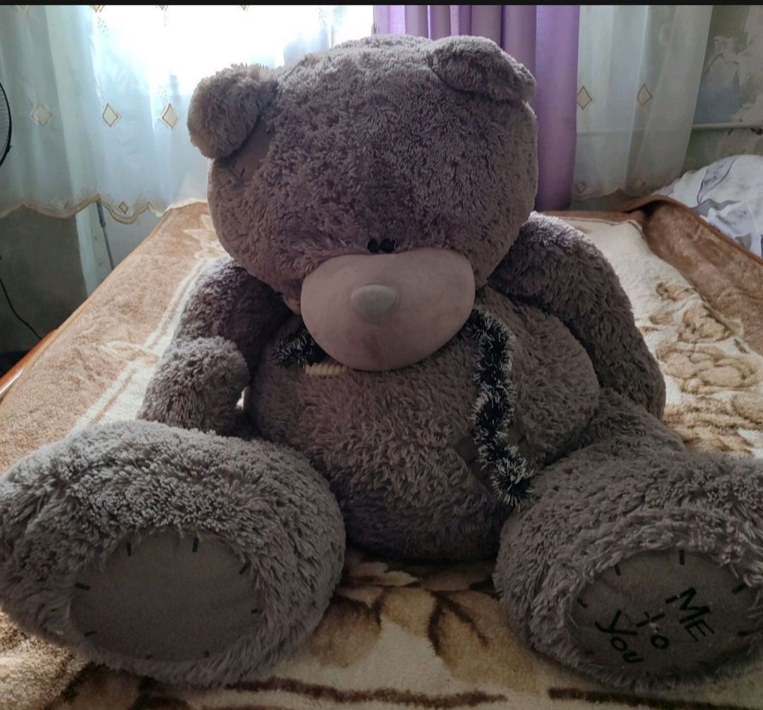 Продается медведь  Teddy