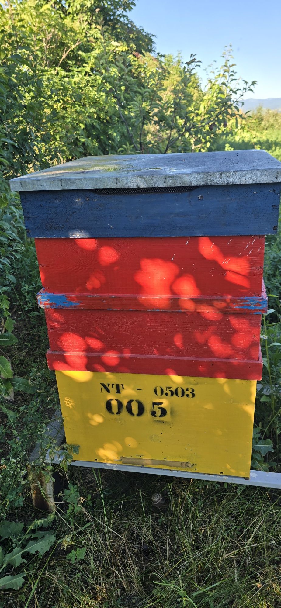 Lăzi fără albine