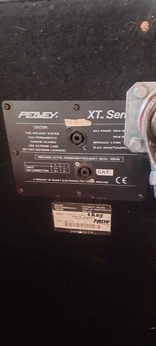 Incinte Bass Peavey 18 zoli