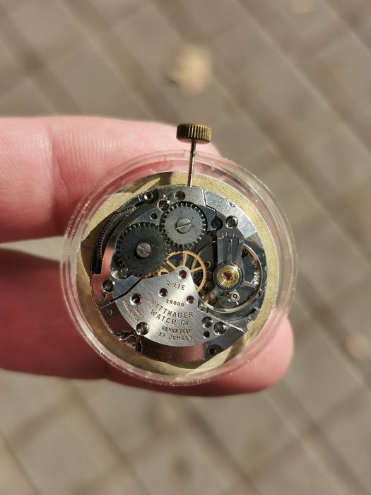 Technos by wittnauer