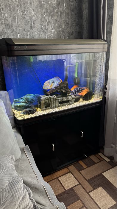 Отличный заводской аквариум 220л со всей комплектацией
