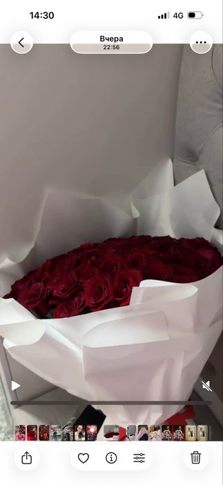 101 роза красный