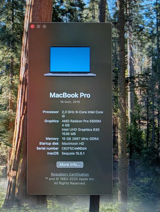 Топ модел Intel i9 MacBook Pro 16'' 16GB RAM 1TB SSD + подарък