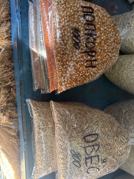 Крупы злаки корма и так далее