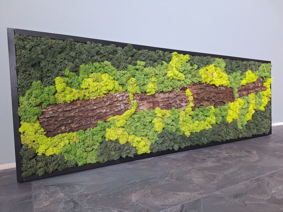 Декоративни пана със Скандинавски мъх