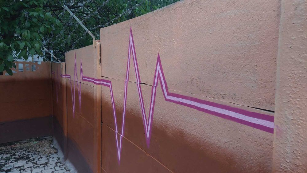 Graffiti/ Desene murale
