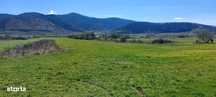 Tern 2250mp extrailan ,spre vanzare la iesirea din Poplaca
