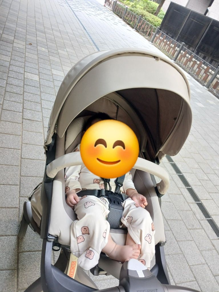 Stokke aravachasi