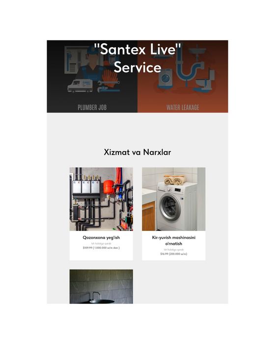 Santexnik "Santex Live" Service