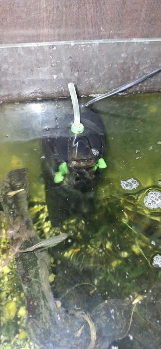 Acvariu 120 L cu mobilier complet echipat