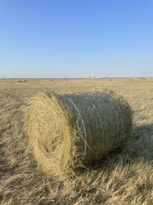 Шоп сатылады сено в руллонах