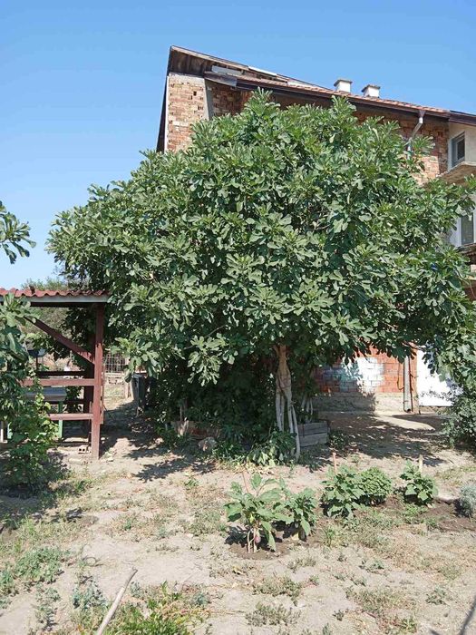 Продава се Къща в Стара Загора, Център - 180 кв.м за 198 €/кв.м - Снимка #4