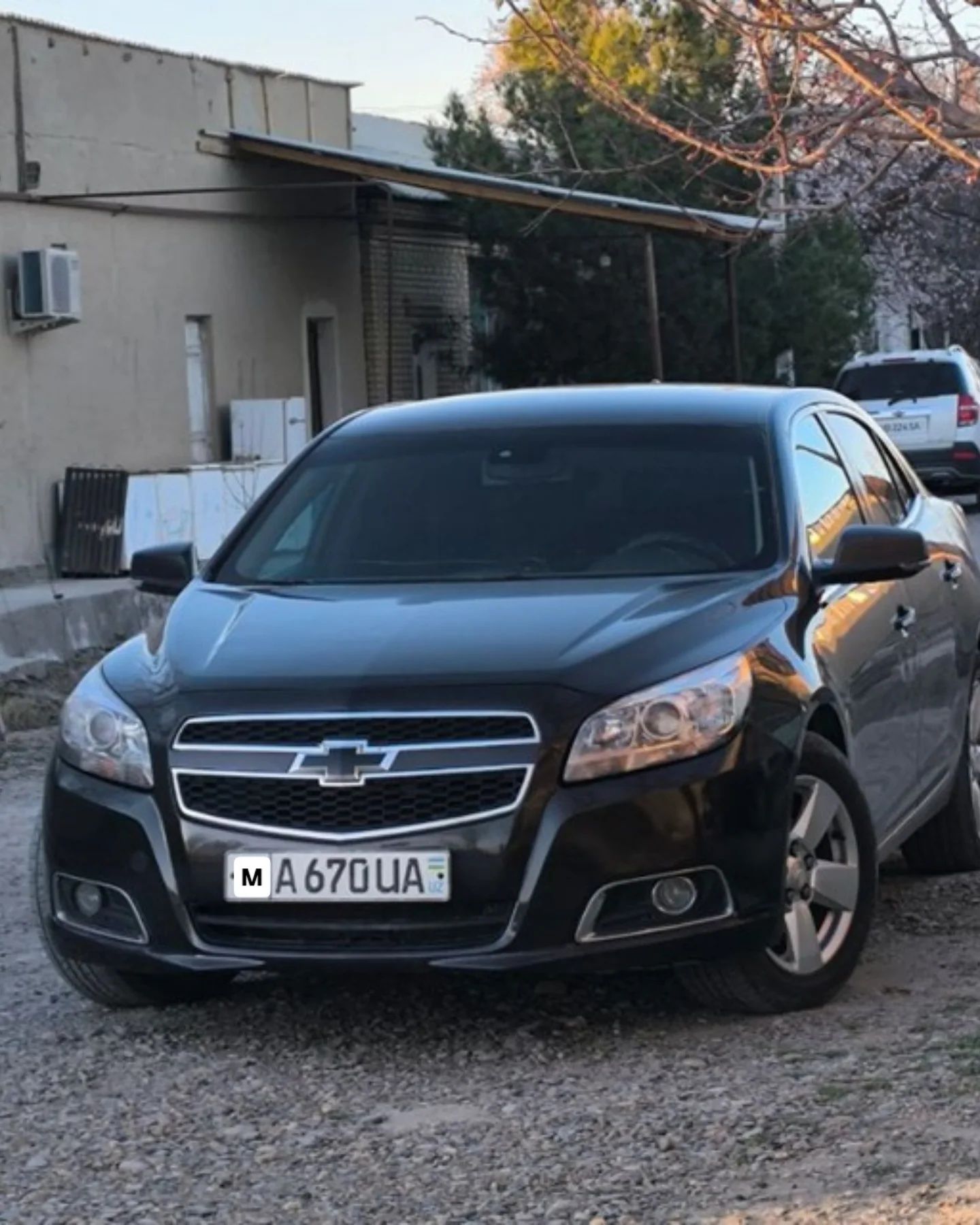 Malibu 1 1 Pozitsiya Sotiladi
