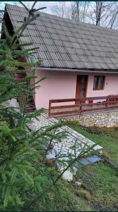 Cabană Munții Apuseni