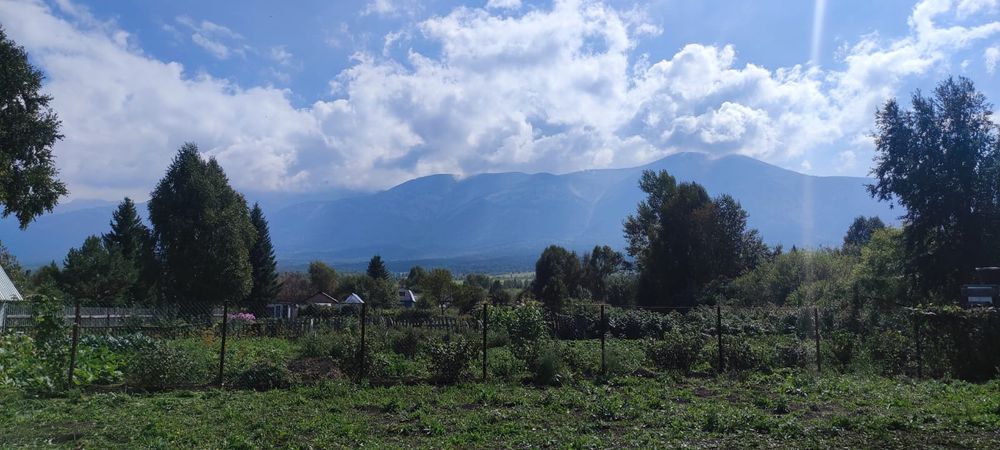 Продам земельный участок с контейнером