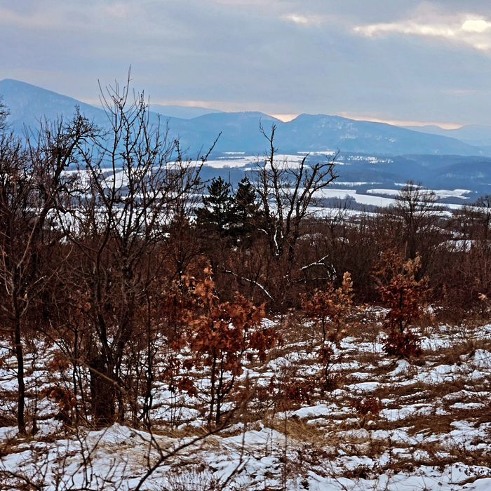 Продава се Парцел в с. Попрусевци, Област Велико Търново - 1200 кв.м за 8 €/кв.м - Снимка #4