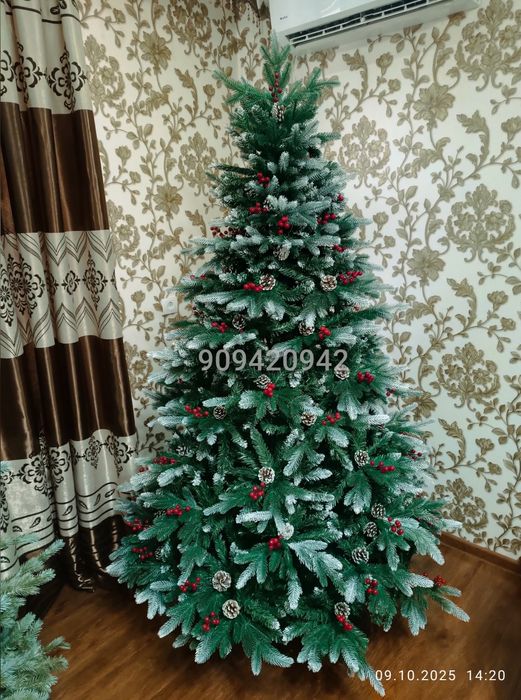 Ёлки ‼️‼️‼️ Ёлка с я годами и шишками .  Максимально густая , пышная