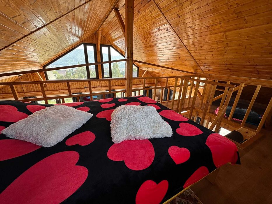 DAMIS*** casa de vacanta open - space ( pret pe 2 persoane /2 nopti ).